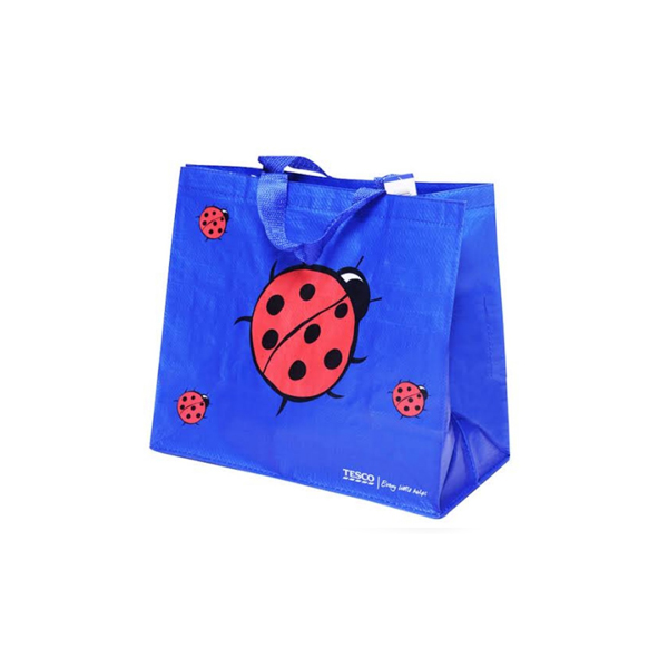 Tesco Ladybird Bag